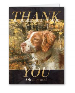 Set Of 12 Matching 3” X 5” Brittany Spaniel Thank You Note Greeting Cards