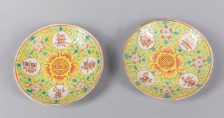 Paris Of 19th Chinese Antique Famille Rose Porcelain Plates