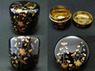 Japan Vintage Lacquer Wooden Tea Caddy Plum Design In Makie Natsume (803)