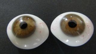 Pair Vintage Prosthetic Human Brown Glass Eyes Paire Yeux Oeil De Verre Brun 2