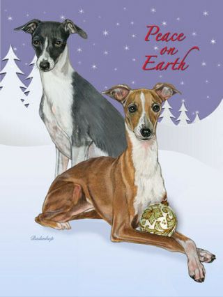 Italian Greyhound Christmas Cards Set F 10 Cards & 10 Envelopes