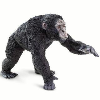 Large Chimpanzee 100302 New/2019 Wildlife Wonders Ship/usa W/$25,  Safari
