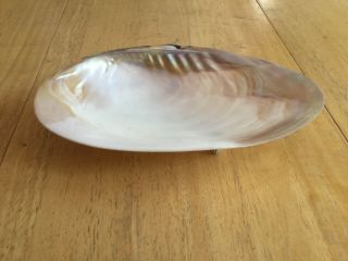 Large Chinese Export Silver Mother Of Pearl Shell Caviar Dish