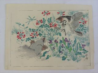 Bird,  Mole :japanese Print,  Kyosai