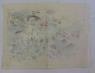 Bird,  Mole :Japanese print,  Kyosai 2