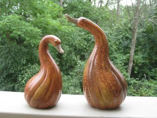 Pair Ceramic Squash Duck Geese Swan Figurine Table Kitchen Decor