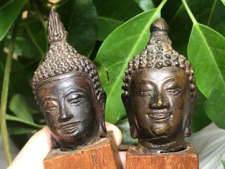 Old Thai Siam Bronze Buddha Head Mounted Busts
