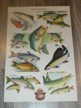 Vintage Smokey The Bear Fire Prevention Poster - Fish