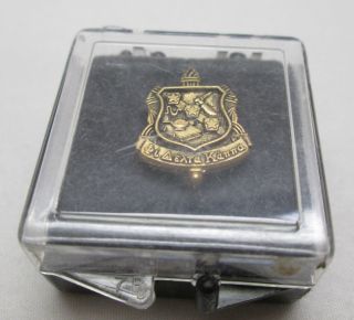 Vintage Fraternity Delta Phi Kappa Gold Lapel Badge Pin In Case