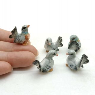 5 Pigeons Bird Ceramic Figurine Animal Miniature Tiny Statue - Cbx082