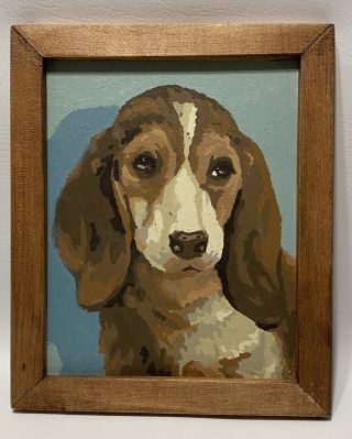 Vintage Dog Paint By Numbers Beagle Puppy 8 " X 10 " Wood Framed.  Bassett Hound?