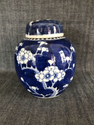 Antique Chinese B & W Prunus Ginger Jar And Cover