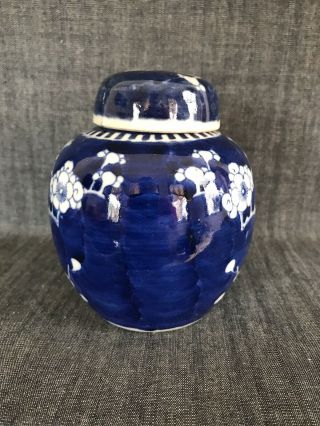 Antique Chinese B & W Prunus Ginger Jar And Cover 2