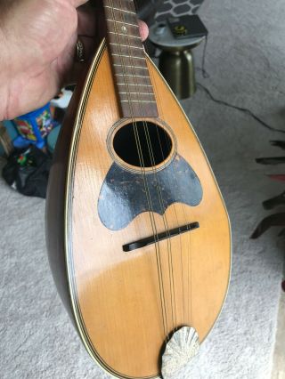 Old Vintage Musical instrument italian Mandolin bowl back rosewood 3