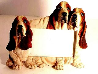 Basset Hound Picture Frame E&s Imports 3d Hand Painted Resin Holds 4 " X 6 " Photo