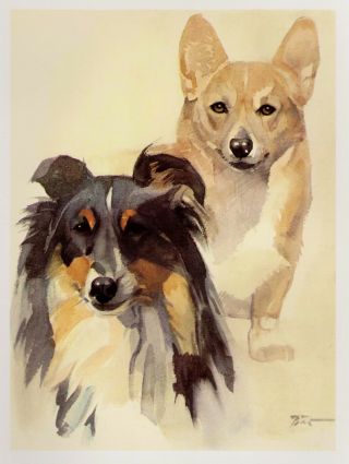 Vintage Corgi Print Sheltie Dog Shetland Sheepdog Print Gallery Wall Art 3358