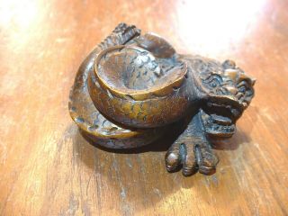 Antique Japanese Carved Wooden Coiled Dragon Netsuke Signed