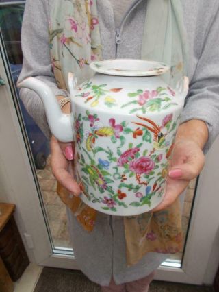 19th Century Antique Porcelain Famille Rose Teapot Birds Butterflies Flowers