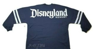 Disney Dlr Disneyland Resort Gray Blue Spirit Jersey L Large Bnwt