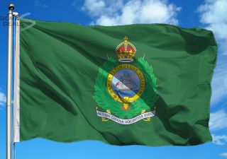 British Empire Flag British Guiana Volunteer Force Regimental Colour Ensign