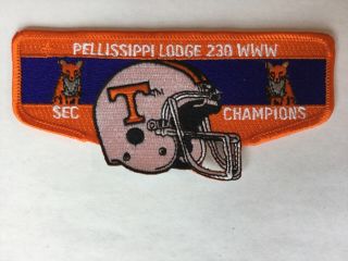 Pellissippi Lodge 230 1998 University Of Tennessee Sec Champions Pocket Flap