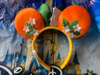 Disney Parks 2020 EPCOT Flower And Garden Festival Orange Bird Minnie Ears 2