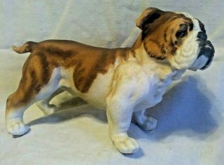 Bulldog Andrea By Sadek Ceramic Porcelain Dog Figurine