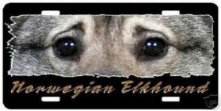 Norwegian Elkhound " The Eyes Have It Line " Pet Breed License Plate