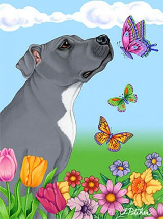 Butterfly House Flag - Blue Pit Bull Terrier 98500 Private Listing