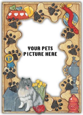 Keeshond Picture Frame