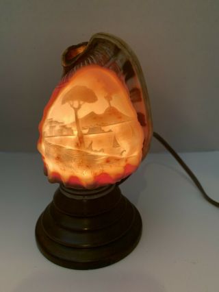 Vintage Conch Shell Lamp Carved Mt.  Vesuvius Scene As Seen In Pics Great.