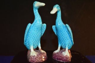 Antique Chinese Republic Period Export Turquoise Blue Duck Figurines Pair - 11.  5cm
