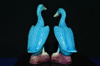 Antique Chinese Republic Period export turquoise blue duck figurines pair - 11.  5cm 2