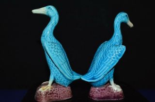 Antique Chinese Republic Period export turquoise blue duck figurines pair - 11.  5cm 3
