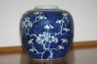 Chinese Blue And White Blossom Porcelain Ginger Jar Kangxi