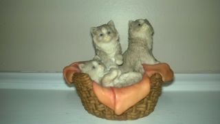 Teviotdale Scotland Tom Mackie Signed Cats Kittens In A Basket Statue 3.  25 " Tall