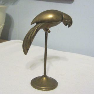Brass Parrot On Perch - Made In Korea - Great City Traders
