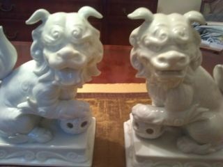 Chinese White Porcelain Foo Dogs Figures