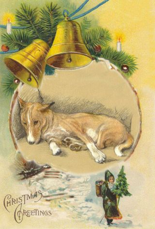 Basenji Dog By By Lucy Dawson (mac) 1946 Large Christmas Note Cards