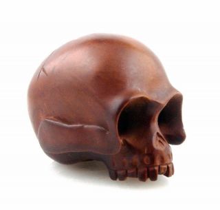 Japanese Boxwood Hand Carved Netsuke Sculpture Human Skull Skeleton 06032001