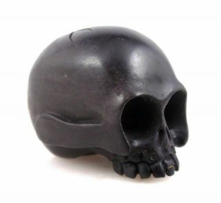 Japanese Ebony Ironwood Hand Carved Netsuke Human Skull Skeleton 07292001