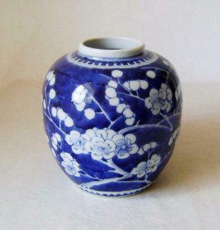 Antique Chinese Porcelain Vase With Kangxi Marks : Prunus Flower Design
