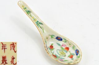 19th Fine Chinese Qing Straits Peranakan Nyonya Fencai Porcelain Spoon 清 粉彩