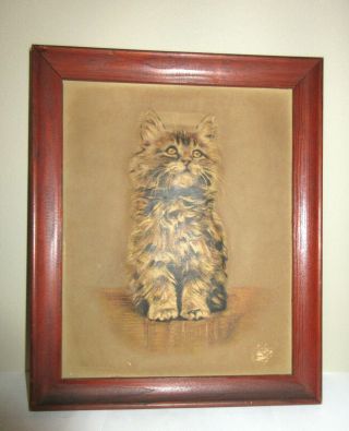 Vtg Cat Picture Framed Dimensional 3d Tabby Kitten Maine Coon Puffed 9.  5 " X 8 "