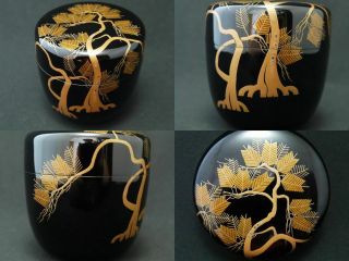 Japanese Lacquer Wooden Tea Caddy Ancient Pine Tree Makie Natsume (803)