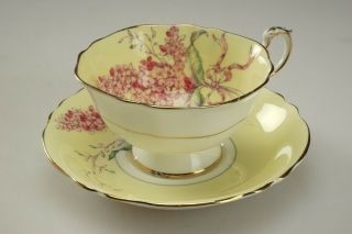 10 Vintage Paragon Fine Bone China Tea Cup & Saucer Lilac Yellow 1572