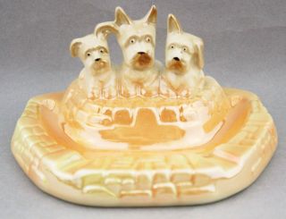 Vintage Wembley Ware Three Scottie Dogs Ashtray Dish Apricot Australian Pottery