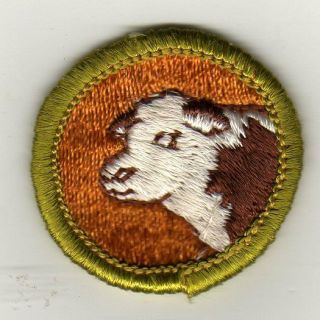 Beef Production Merit Badge,  Type G,  Cloth Back (1964 - 71),