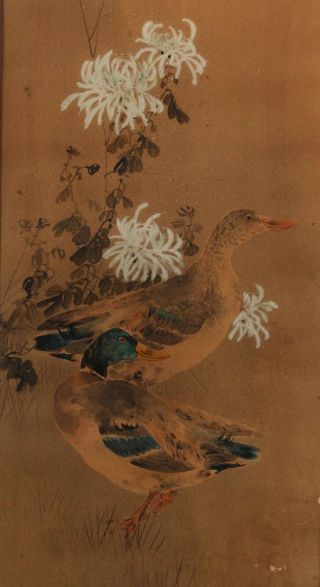Pair 19thC Antique Signed Japanese Watercolor Paintings Rooster Chicken & Ducks 3