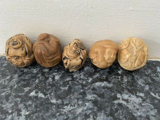 5 Japanese Tagua Nut Netsuke Carved In The Form Of Buddha Chinese Asian